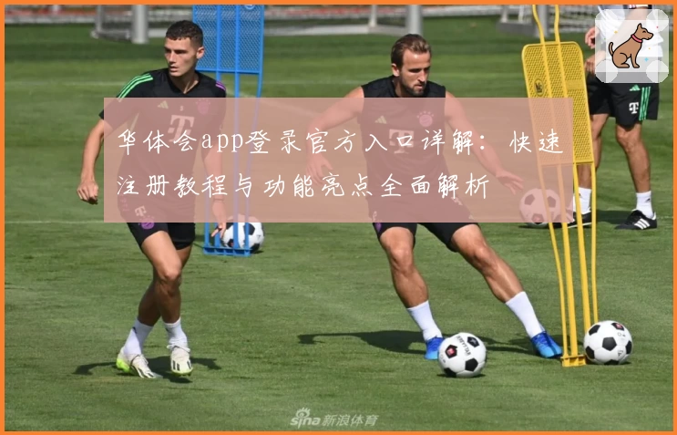 华体会app登录官方入口详解：快速注册教程与功能亮点全面解析