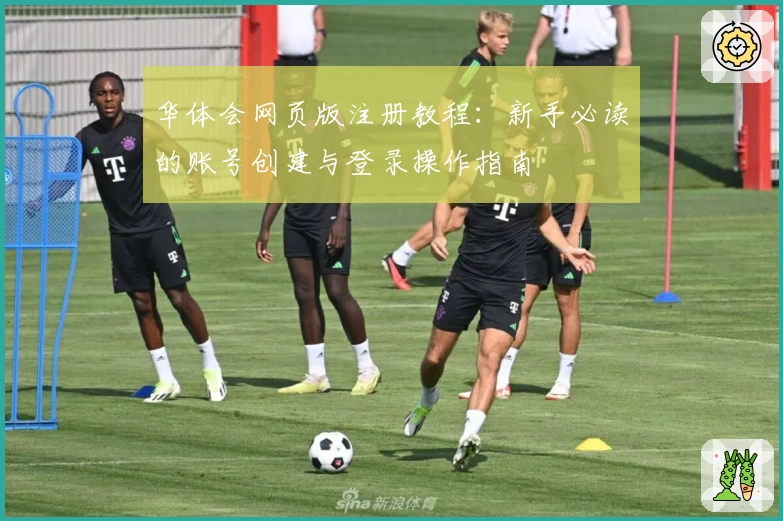 华体会网页版注册教程：新手必读的账号创建与登录操作指南
